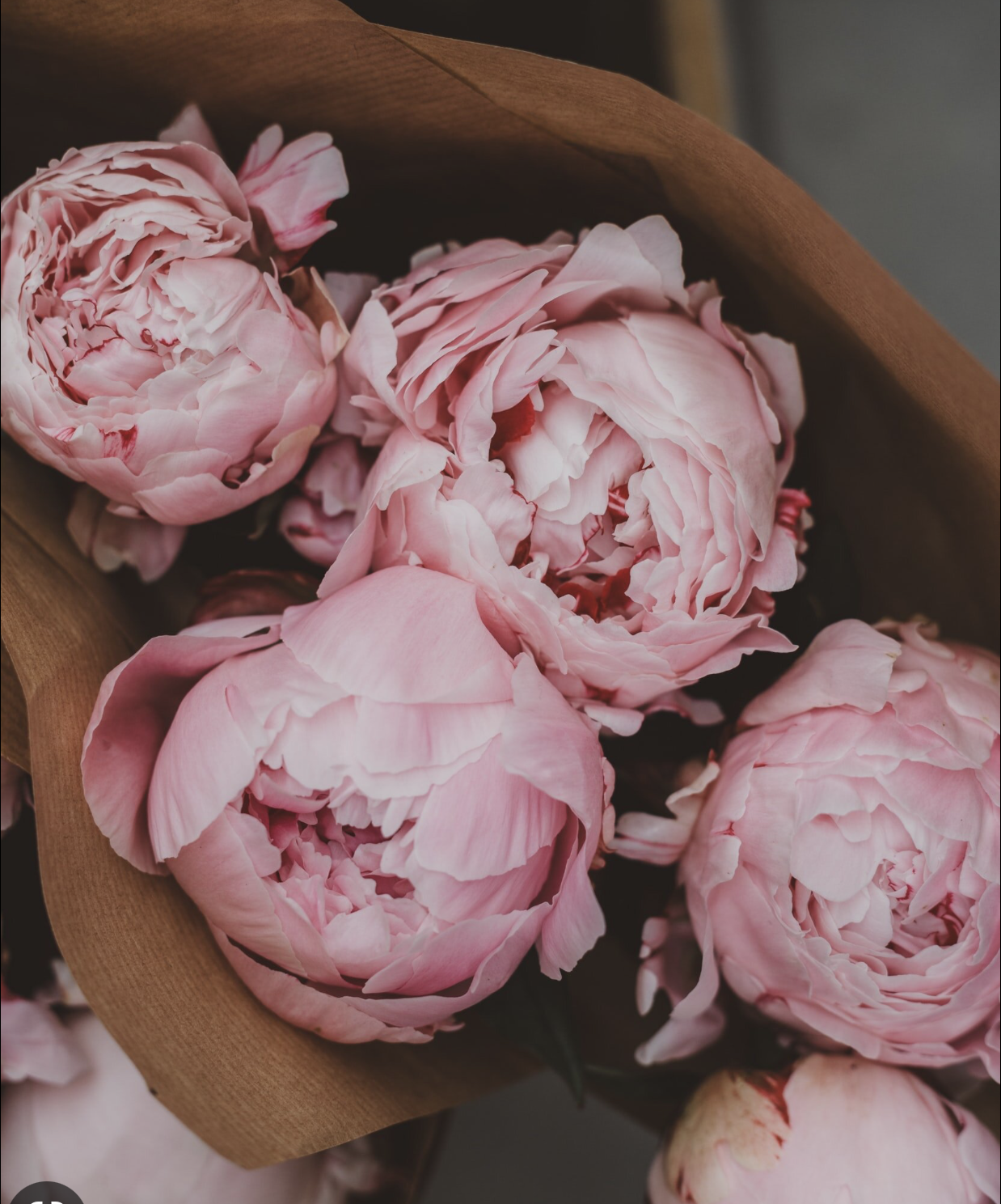 Peony Bouquet